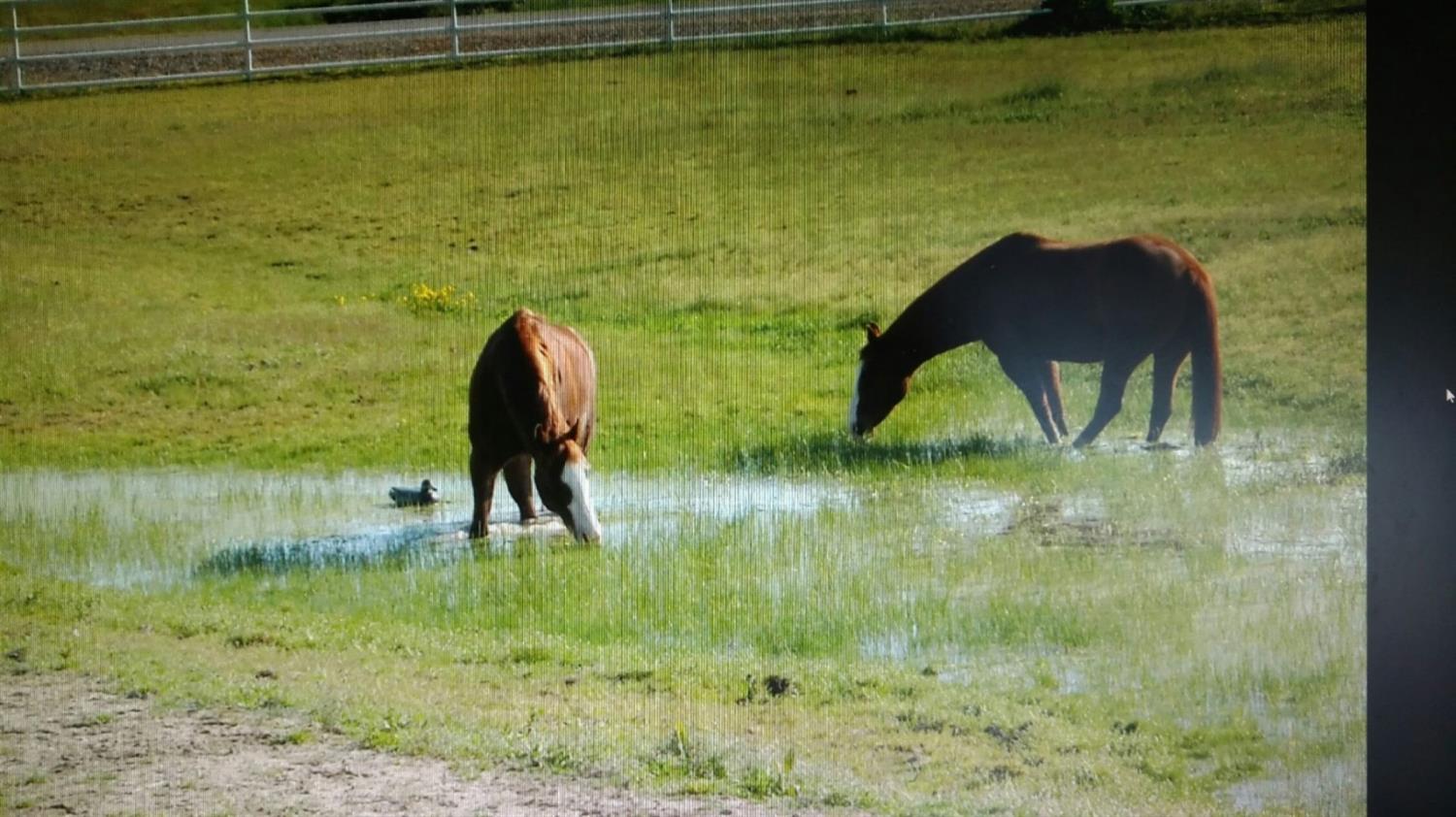 37647 Verde Ave, Madera, CA 93636