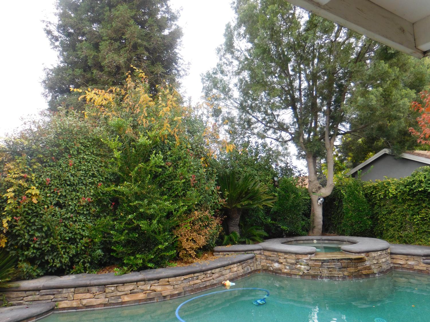 3215 Tragon St, Madera, CA 93637