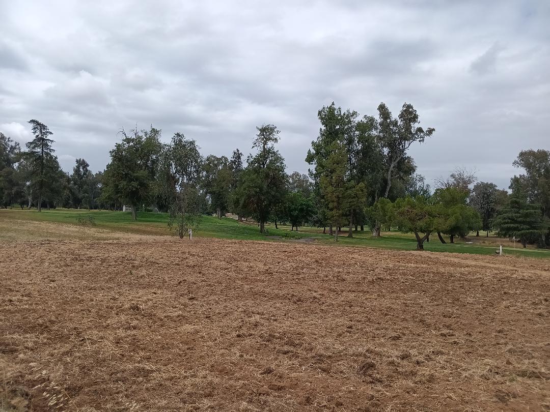 19324 Farallon Rd, Madera, CA 93638